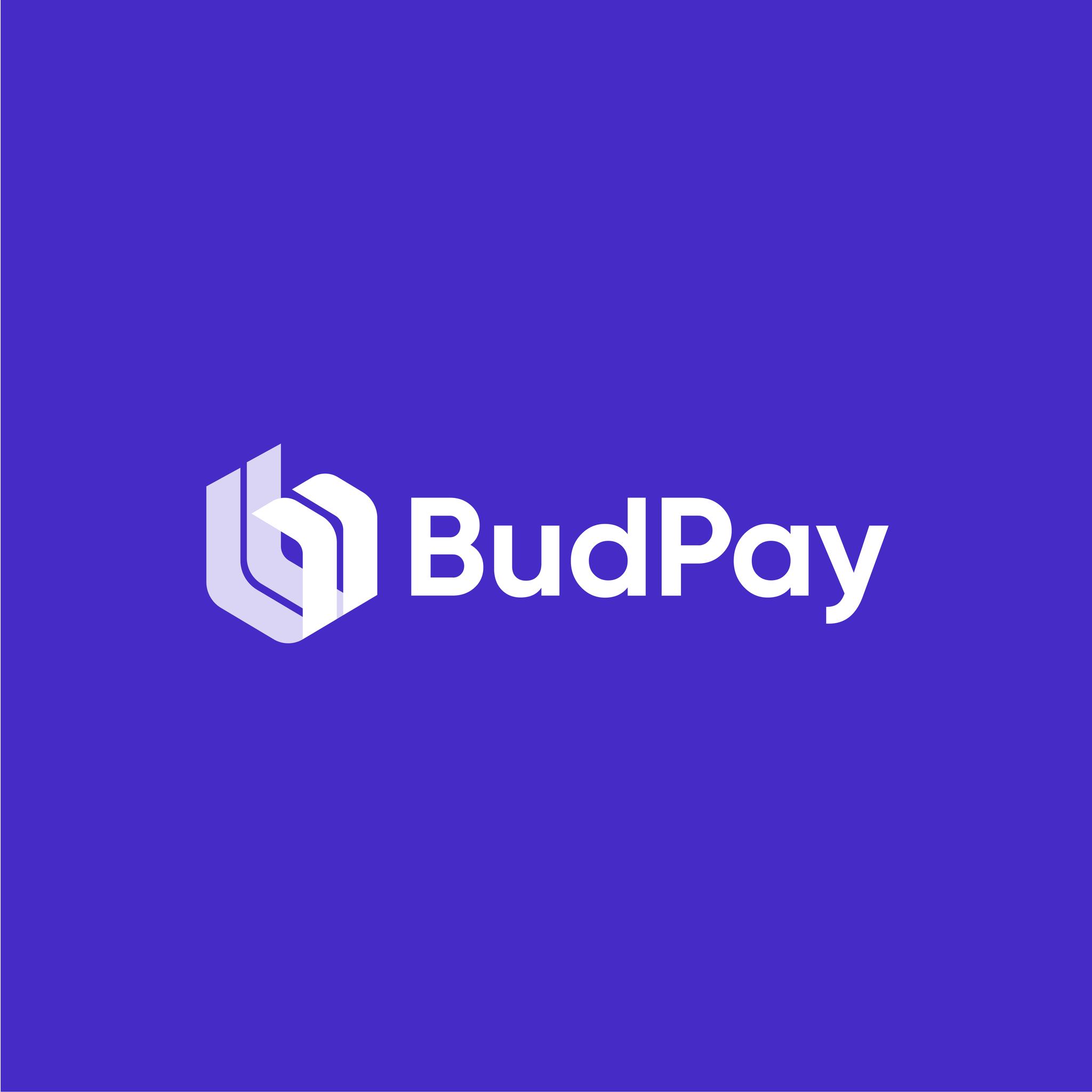 budpay-logo-primary-white
