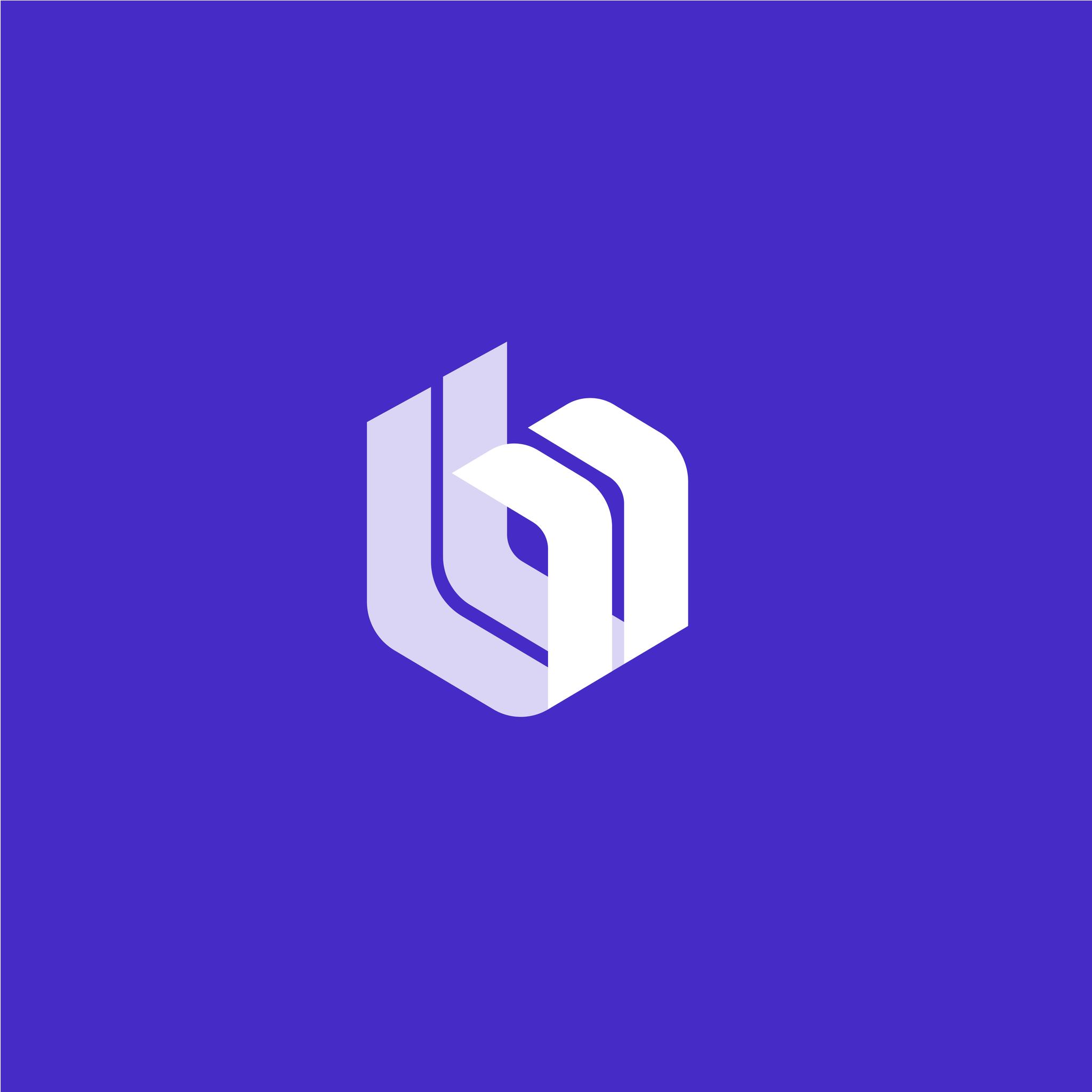 budpay-solo-primary-white